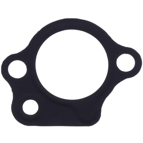 Cam chain tensioner gasket
